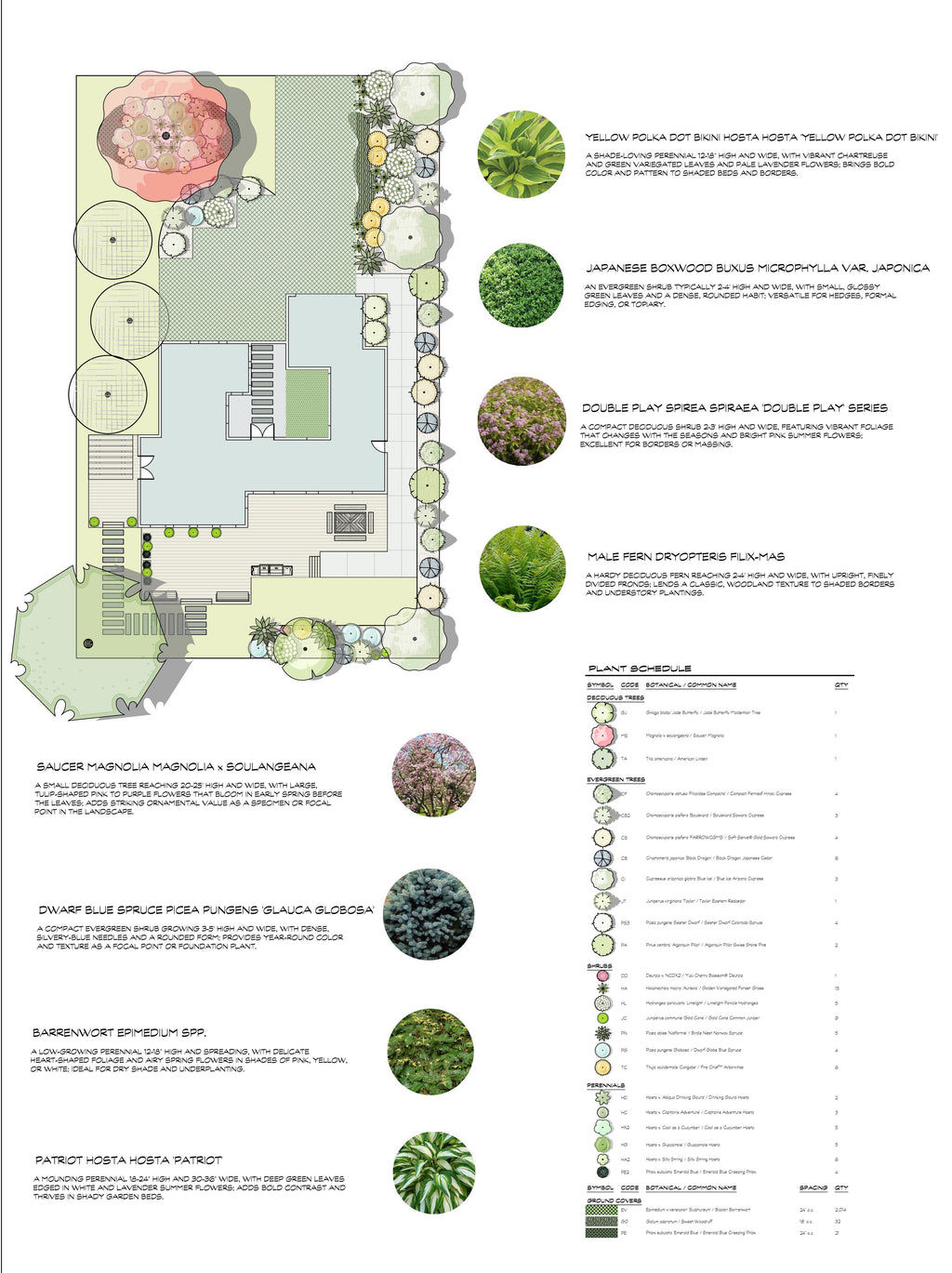 2D Front Yard Design