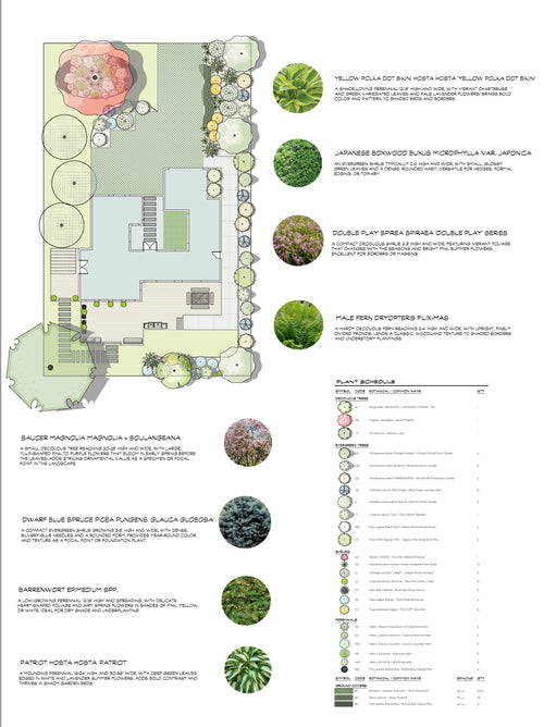 2D Front Yard Design