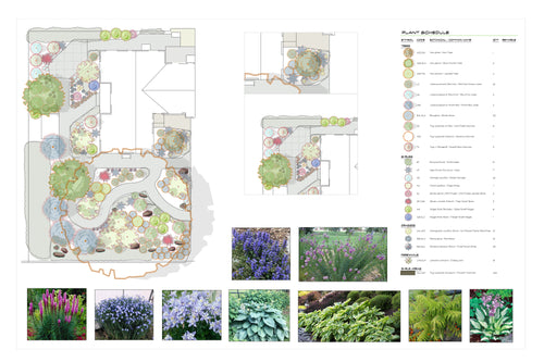 2D Front and Backyard Design